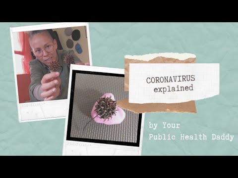 How COVID games the immune system to destroy lungs, explained using things I have in quarantine