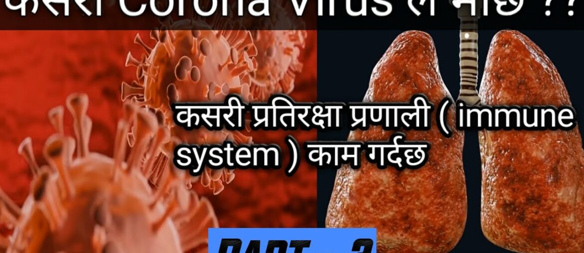 How Immune System works ? Covid-19 Recovering Mechanism Explained in Nepali | Part-2 |Immune System|