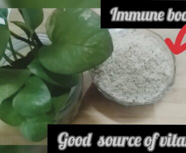 Immune booster,Brain booster,Good source of vitamin,s healthy homemade powder anyone can take