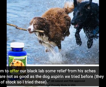Premium Canine Glucosamine Chondroitin with MSM for Dogs, Great All Natural Beef Liver Chews Su...