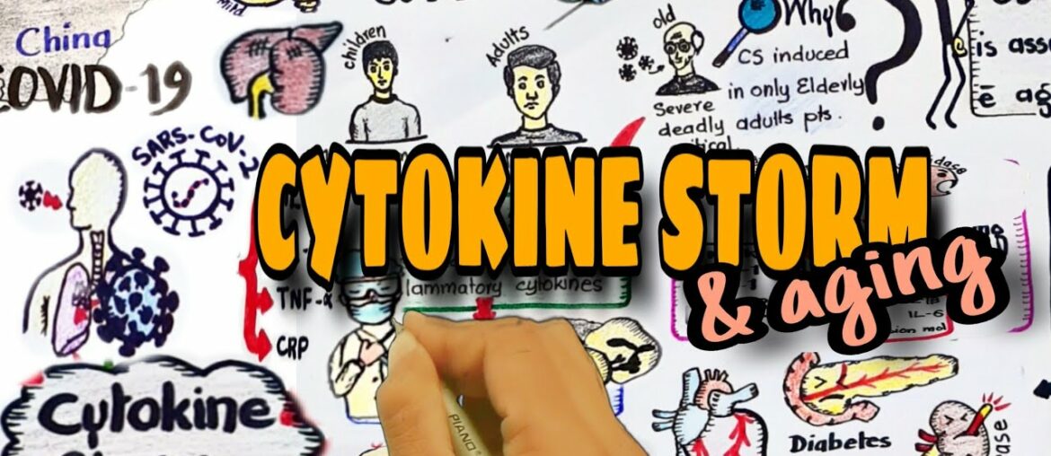 cytokine storm and aged COVID-19 patients | cytokine storm | cytokine release syndrome
