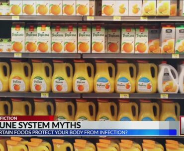 Immune system myths