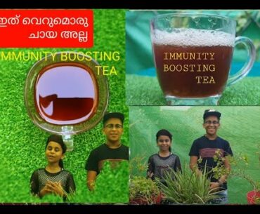immunity boosting tea \  covid 19 : immunity booster \ safus bright cooking