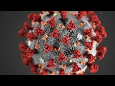32 Rules to overcome Coronavirus(Covid19