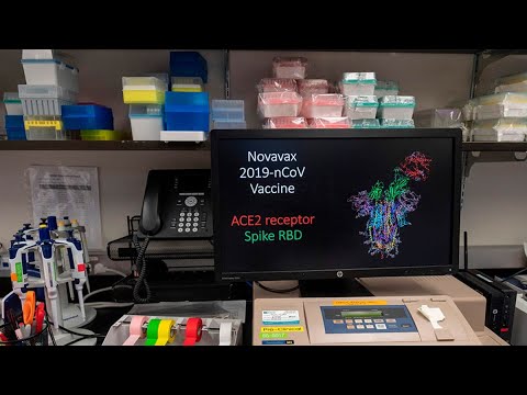 Novavax Aims to Deploy Covid-19 Vaccine by December: R&D Head