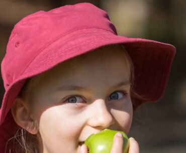 Getting The Do children need vitamin supplements? It may not be necessary To Work