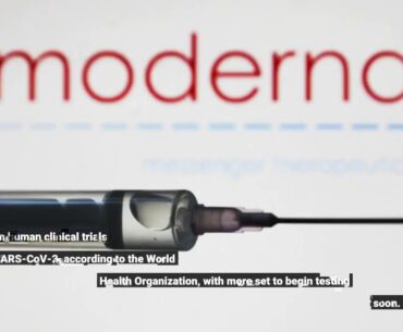 First data for Moderna Covid-19 vaccine show it spurs an immune response