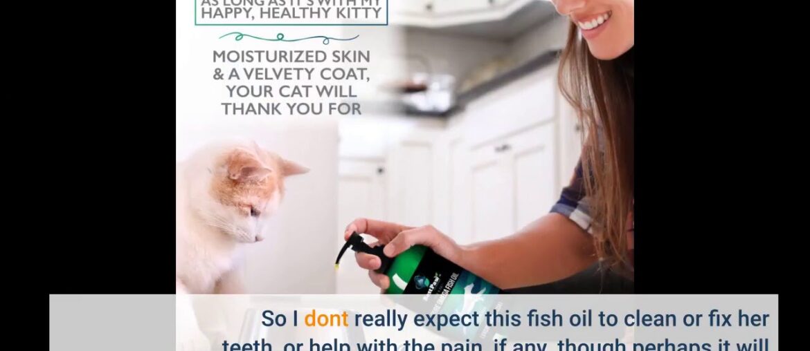 Effective Fish Oil for Dogs Cats & Ferrets - Pure Wild Salmon & Tuna Liquid - More EPA & DHA -...