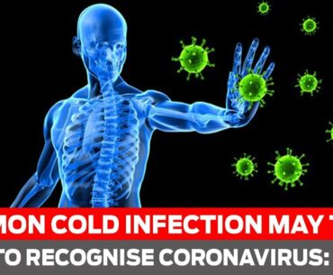 Common cold infection may train body to recognise coronavirus: Study