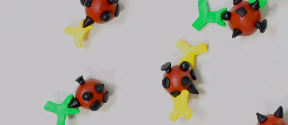 What are antibodies? Why is developing them for COVID-19 so complicated?