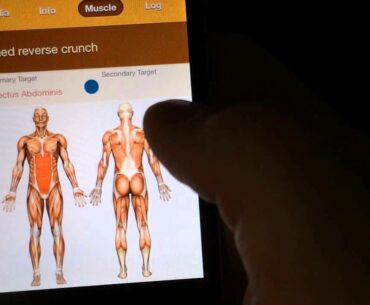 All-In Fitness App Review