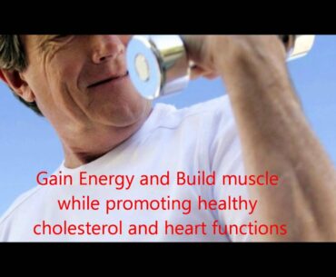 Best Multi Vitamin For Men