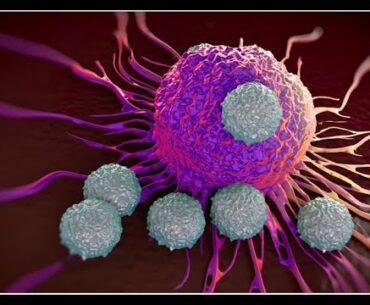 The Corona Virus Is New, but Your Immune System (T cells) Might Still Recognize It.