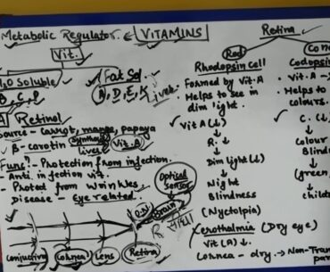 NUTRITION - Vitamins [ part 1] / for all competitive exams