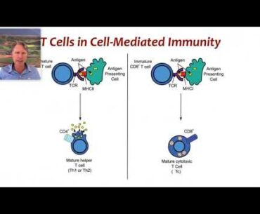 Important Answers to COVID-19 #2 - Part A