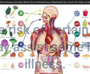 The Vitamins & Supplements - HSN Ideas