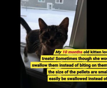 Greenies Dental Treats for Cats - Catnip - 5.5oz