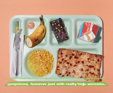 Our School Nutrition Association Diaries