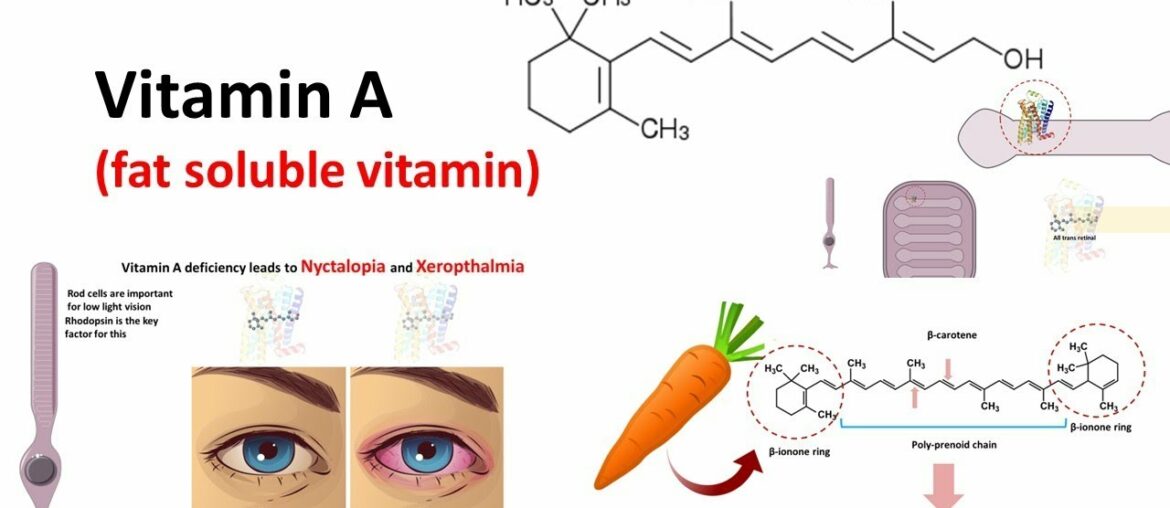 Vitamin A :Function, metabolism & deficiency