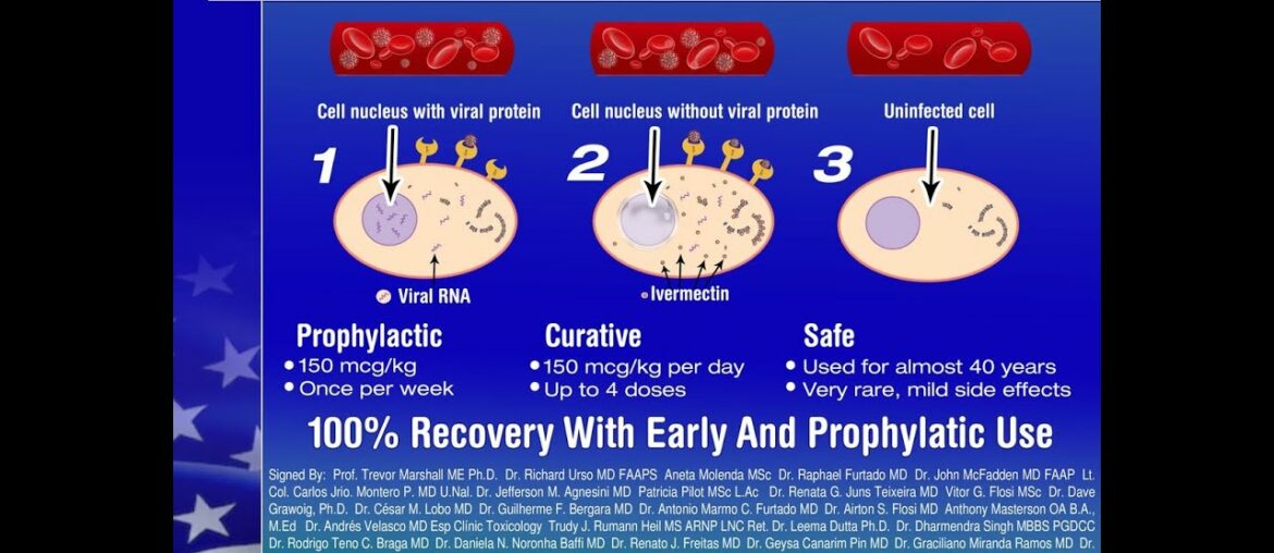Welcome to my first English dog walk! Ivermectin cures everyone in 48 hours?!? Healthcare system