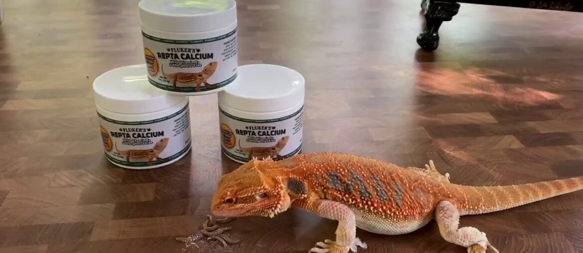 Fluker's Calcium Reptile Supplement with added Vitamin D3   4oz    Dry Pet Food   Pet S