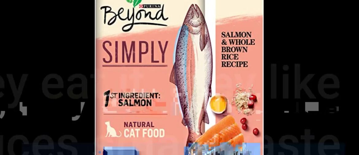 Beyond Simply 9 Natural Dry Dog Food, White Meat Chicken & Whole Barley 10.8 kg Bag