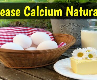 How To Increase Calcium In Body Naturally | Get Rid of Calcium Deficiency