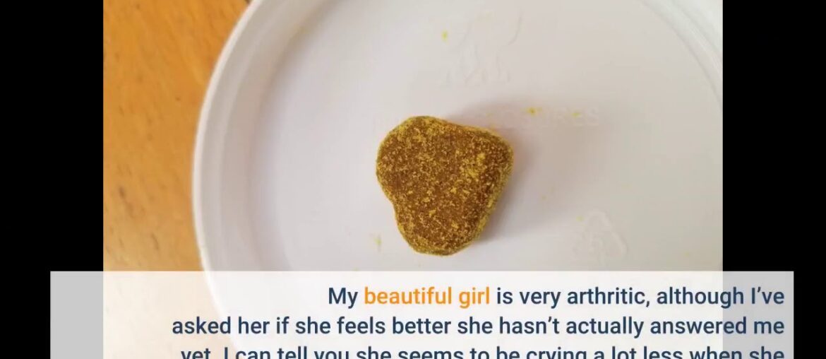 Glucosamine for Dogs - Advanced Arthritis Pain Relief for Dogs - Chondroitin, MSM & Organic Tur...