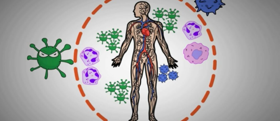 How to boost immunity power | Immunity boosting foods and ways