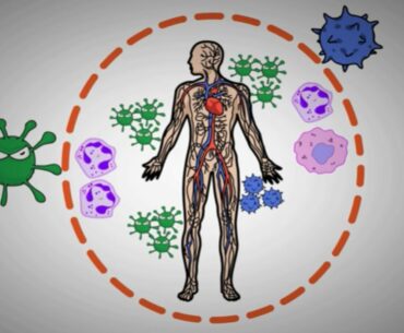 How to boost immunity power | Immunity boosting foods and ways