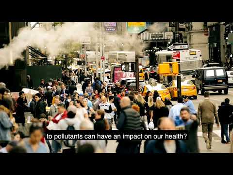 Multivitamin Supplements Herbalife