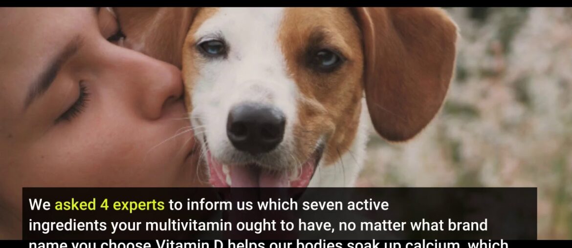 The Best Strategy To Use For Best Dog Vitamins & Supplements - Low Prices (Free