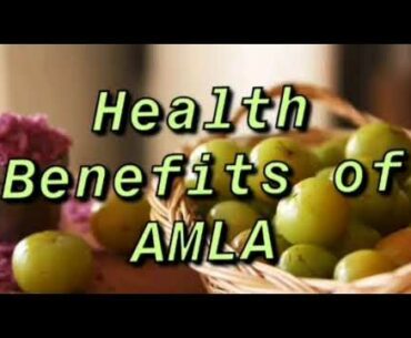 Health Benefits of Amla / Indian gooseberry / periya nellikai / Organic facts nutrition