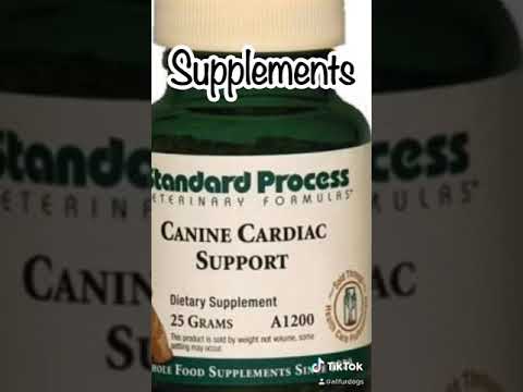 My Dog Has CHF...Here are some of the supplements, vitamins and foods I give him :)