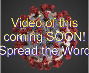 Immune System Booster to fight Viruses! Will We ever have an Coronavirus Covid-19 vaccine?