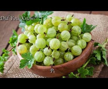 1 ingredient to boost your immunity-Amla