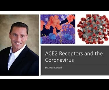 The ACE-2 Receptor and the Coronavirus COVID19