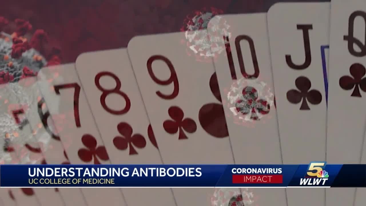 UC College of Medicine explains COVID-19 antibodies