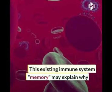 Common colds train the immune system to recognize COVID-19.