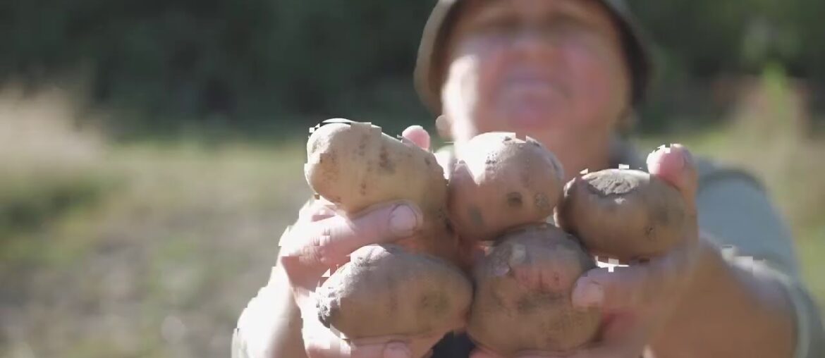 The Ultimate Guide To Supplements: Nutrition in a pill? - Mayo Clinic