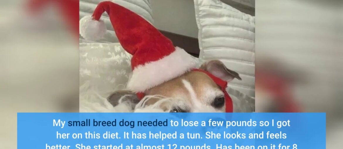 Hill's Science Diet Dry Dog Food, Adult, Perfect Weight for Healthy Weight & Weight Management,...