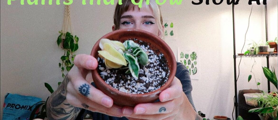 My SLOWEST Growing Plants!