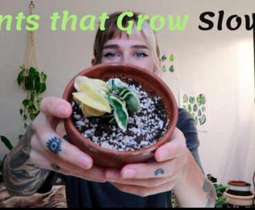 My SLOWEST Growing Plants!