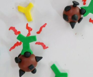 Here's how antibodies defend against viruses in the human body