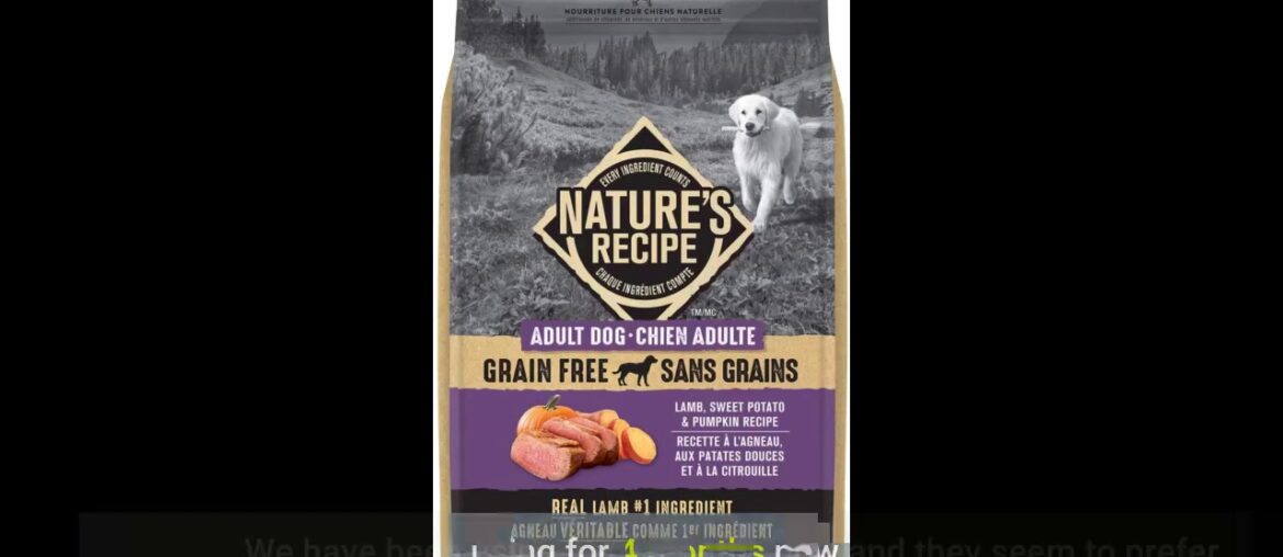 Beyond Superfood Natural Dry Dog Food, Salmon, Egg, Pumpkin 10.2 kg Bag