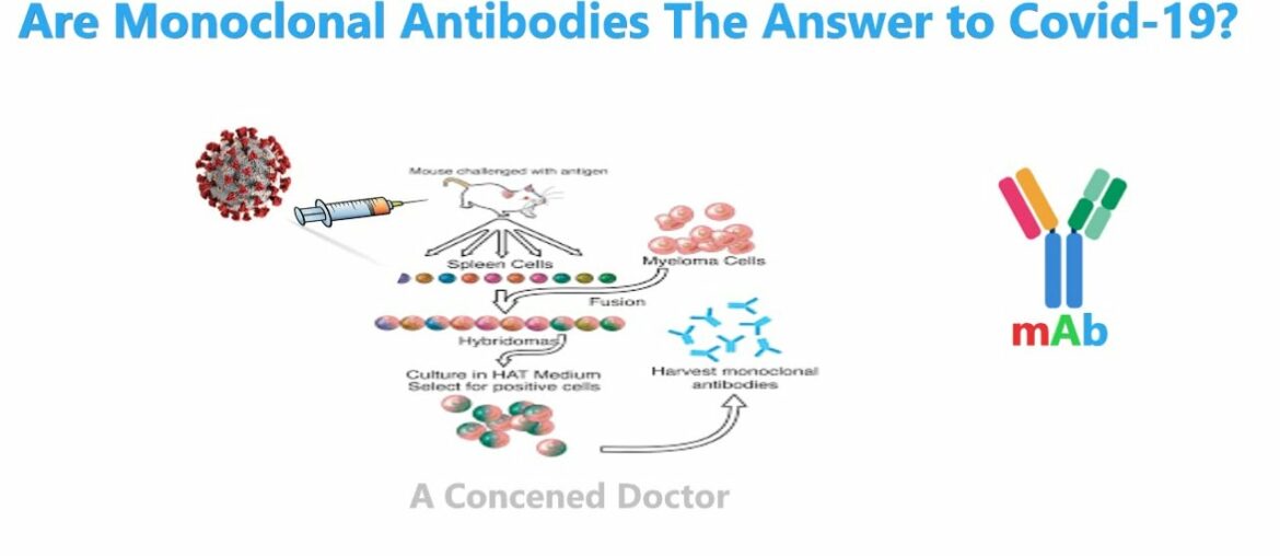 A Concerned Doctor: Are Monoclonal Antibodies The Answer to Covid-19?
