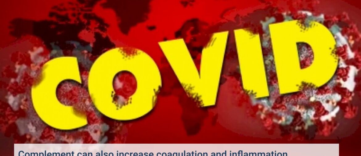 Ancient part of immune system may underpin severe COVID