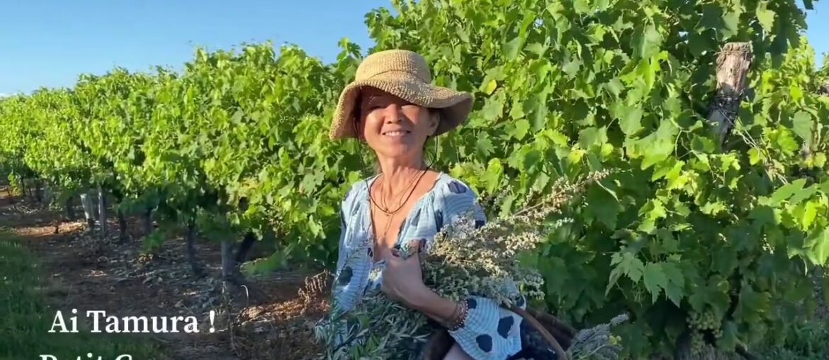 Summer harvest // Baume Artemesia & Blackberry Jam