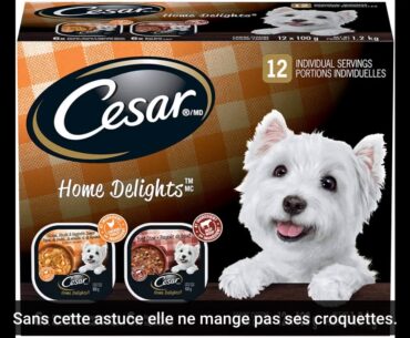 CESAR Filets in Sauce 12pack (New York Strip Flavour / Chicken & Garden Vegetable)