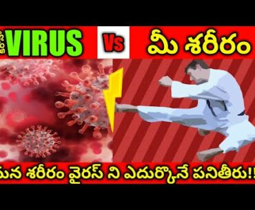 Immune Response: Virus vs Immune System Fight in Telugu|How immune system Works|by KABOOM FACTZ
